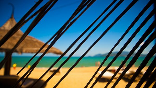 Leaves-Palm-Tree-Beach